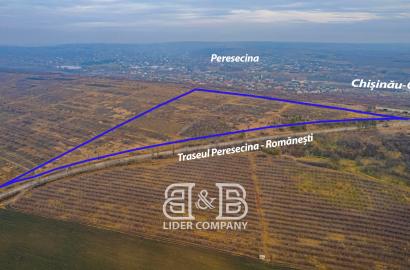Teren agricol de vânzare - Orhei, Peresecina