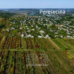 Teren Agricol de Vânzare – Peresecina, Orhei