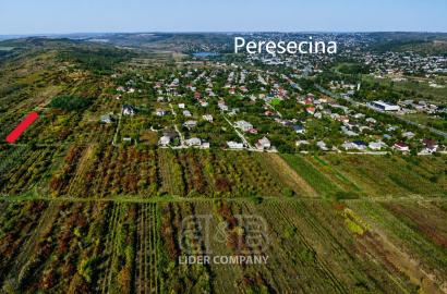 Teren Agricol de Vânzare – Peresecina, Orhei