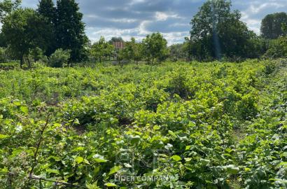 Teren pentru construcții de vânzare – Măgdăcești, r-nul Criuleni