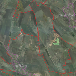 Vânzare teren agricol în Anenii Noi, Satul Salcia – 20 ha