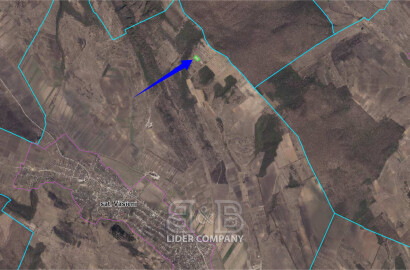 Teren agricol de vânzare – 48 Ari – satul Văsieni, r-n Ialoveni