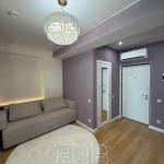 De vânzare apartament cu 1 cameră și living - complexul Newton House, Botanica