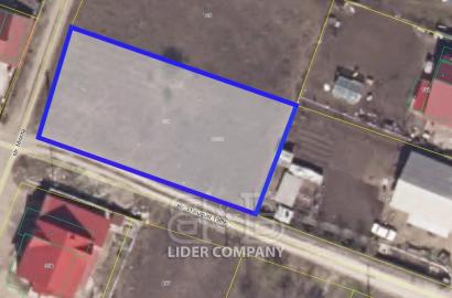 De vânzare teren pentru construcție - Ialoveni, Piatra Albă