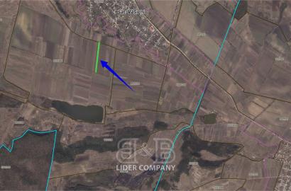 Teren agricol 55 ari de vânzare în Văsieni, Ialoveni – Zonă cu potențial ridicat