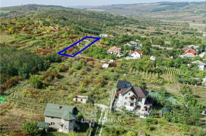 De vânzare teren agricol - Peresecina, Orhei